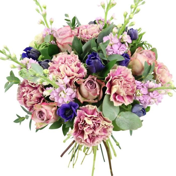 A richly detailed hand-tied bouquet is set against a bright white backdrop, allowing every nuance of colour and texture to stand out as if it had just been arranged in a Forest Gate studio. Dominating the centre are generous garden roses, their petals layered in classic spirals that shift from soft blush and powder pink through to deeper dusty mauve and antique rose, evoking a quietly luxurious, vintage mood. Interlaced among them are opulent carnations, their petals heavily ruffled, starting from creamy beige and pale pink hearts and deepening to vivid fuchsia and plum-pink edges. These frilled blooms lend impressive volume and a soft cloud-like effect. Bold accents of deep indigo and royal blue, including a single open anemone with a near-black centre and several closed buds shaped like tulips, cut through the pastels with a refined intensity. Wisps of lilac and pale lavender stock flowers rise vertically, their many tiny florets clustered along slender stems, injecting an airy, almost ethereal lightness to the overall design. All the blooms are framed by an abundance of green foliage, from dark, glossy leaves to the iconic rounded, silvery-green discs of eucalyptus that fan outward, hinting at a fresh, aromatic scent. The stems are visibly gathered and tied at the base, showing the hand-crafted nature of the piece and its readiness for same-day delivery around Forest Gate, Maryland, or nearby Manor Park. The overall impression is of a sophisticated, romantic bouquet perfectly suited to anniversaries, special birthdays, or spring celebrations in East London homes.