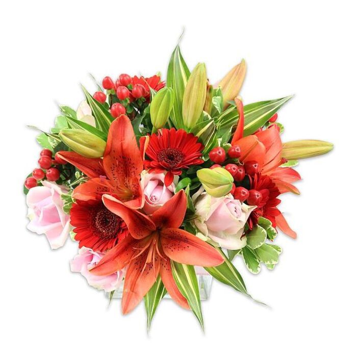 A vibrant, lush composition sits cleanly against white, its full, rounded form showcasing careful floral design and richly complementary tones. Prominent orange-red Asiatic lilies take centre stage, their recurved petals showing faint speckling and dark anthers that add structural detail and contrast; a few unopened buds lift the eye with the sense of future bloom. Intertwined are deep crimson Gerbera daisies, their numerous narrow petals radiating from near-black centres and creating pockets of concentrated colour. Soft blush-pink roses provide a gentle counterpoint, their classic spiralled forms ranging from compact buds to open, fragrant blooms that lend a romantic softness. Small clusters of glossy red hypericum berries are woven throughout, their smooth, round shapes offering playful punctuation against the softer floral textures. A generous variety of foliage - from broad, glossy greens to more slender, pointed lily leaves and a handful of variegated stems with pale streaking - frames and supports the flowers, giving the bouquet depth, movement and a fresh, garden-picked quality. The lighting is bright and even, emphasising the saturation of each hue and the tactile contrasts: the satiny roses, the somewhat papery lilies, and the waxy berries. This arrangement feels both joyful and warm, suitable for anniversaries, milestone celebrations or to brighten an East London home near Memorial Park or the lively market on Green Street. It reads as a carefully balanced piece by a neighbourhood florist who understands rhythm, scent and seasonal freshness.